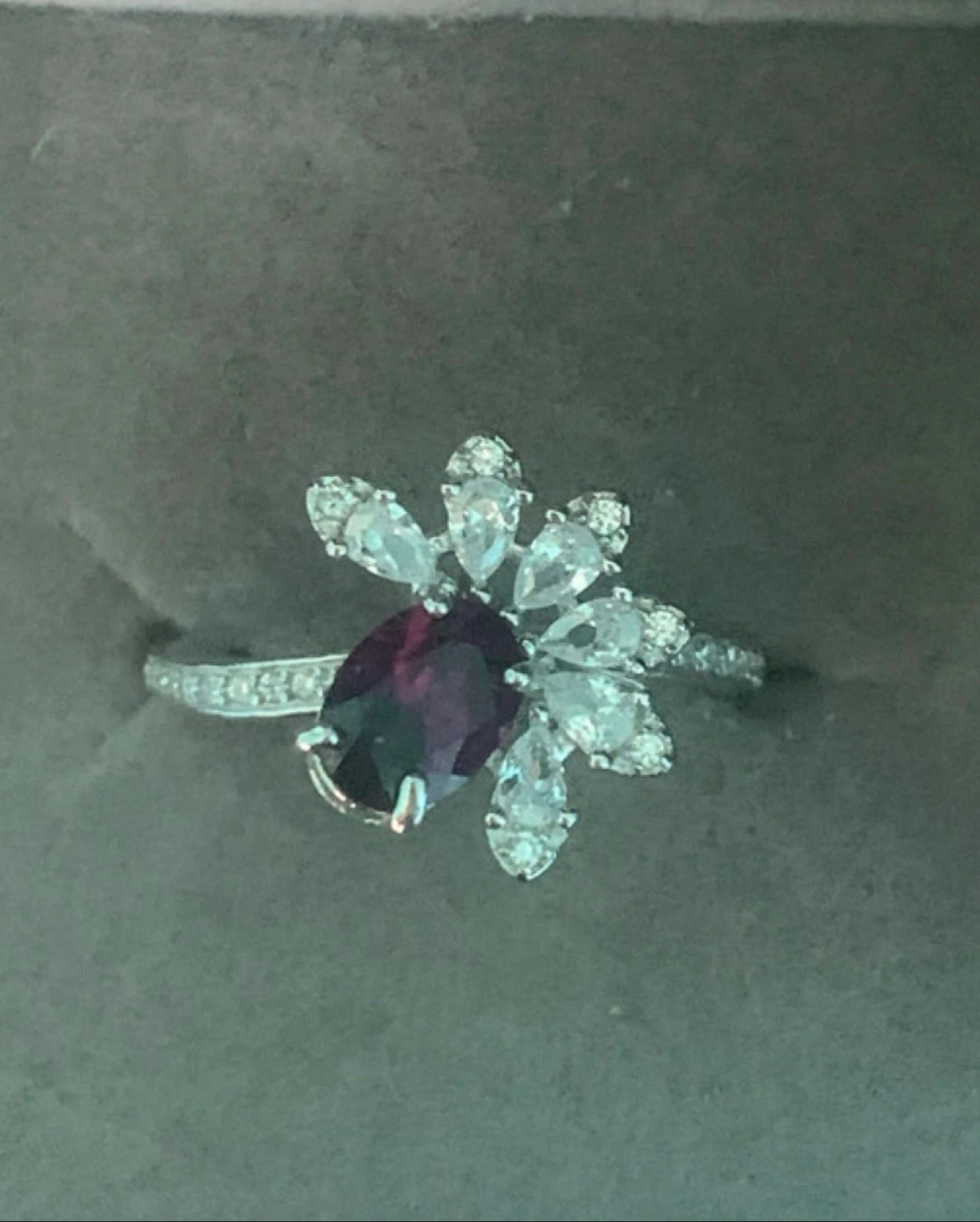Rodolietring – photo 5